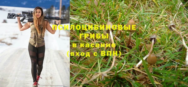 каннабис Баксан