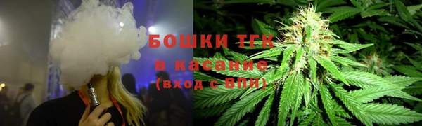 PSILOCYBIN Заводоуковск