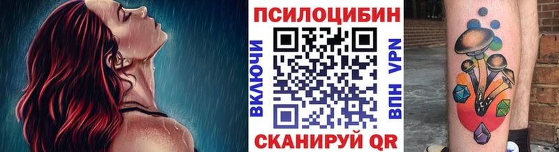 купить   Верхнеуральск  Псилоцибиновые грибы мицелий 